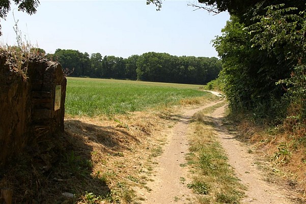 Sentier des Bunkers
