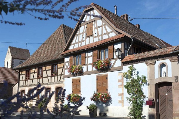 Kienheim