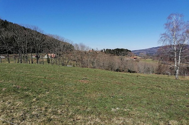 Randonnée - Les hauts de Steige et le Climont