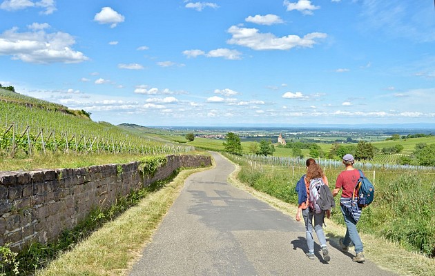 Circuit rando - de Kaysersberg à Ribeauvillé