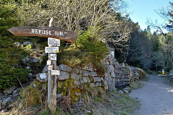 Circuit rando - le petit tour du lac Noir