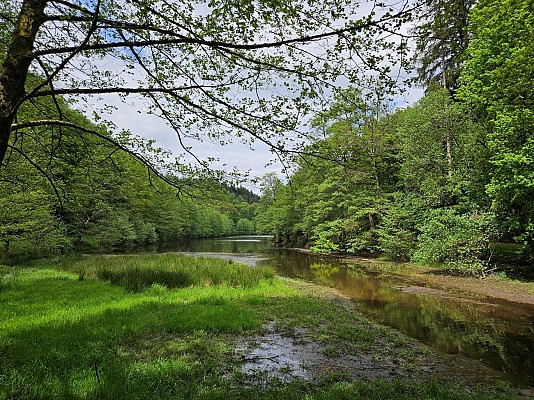 Etang du Donnenbach