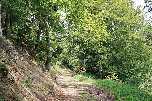 Chemin forestier du Himmelsleiter
