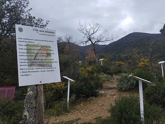 Sentier botanique de Montesquieu-des-Albères