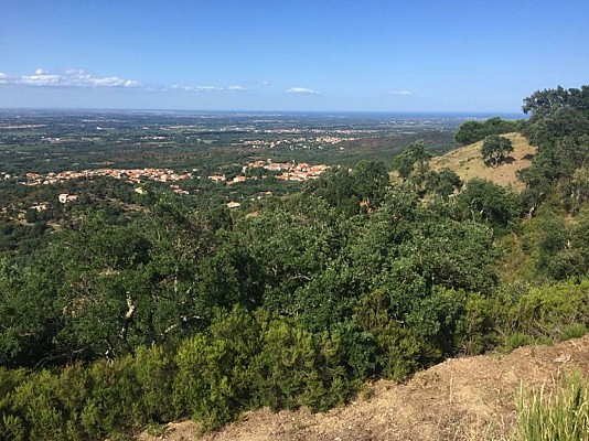 Sentier botanique de Montesquieu-des-Albères