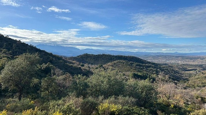 Sentier botanique de Montesquieu-des-Albères