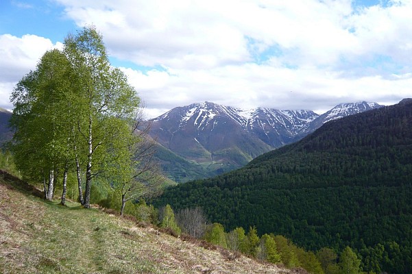 Vue sur les sommets