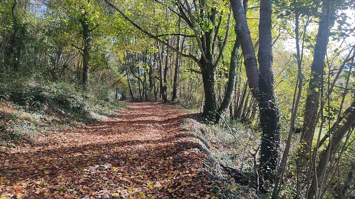 Chemin de Gabats