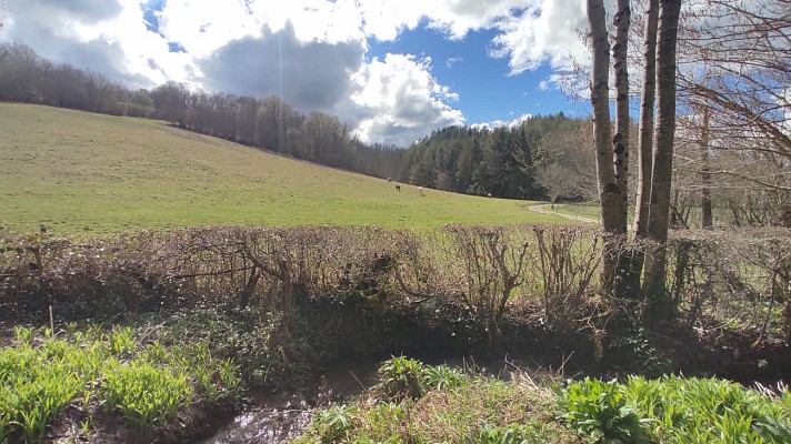 Sentier Roc du Castillon