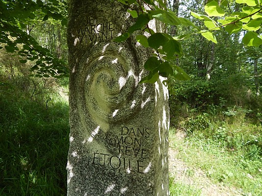 Forêt royale