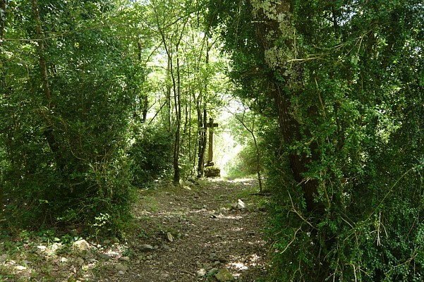 Chemin bordé de buis en redescendant vers Alas