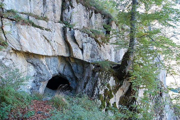 Tunnel Decauville