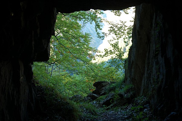 Tunnel Decauville