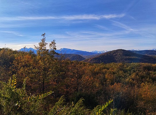 Sentier des Vignes2