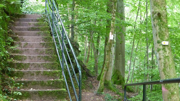 Village de vacances à La Petite Pierre (67): en surplombant le Johannisthal