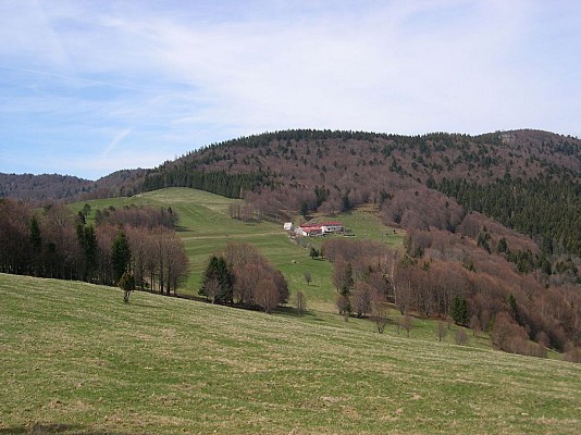Balade ferme-auberge Gresson : Balade le long des murs de pierres