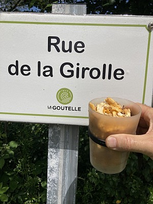 Girolles