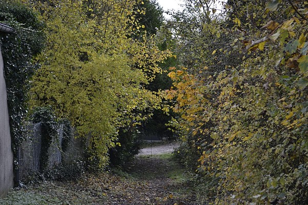 Balagny