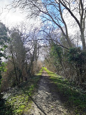 Verdure et ancienne ligne de chemin de fer