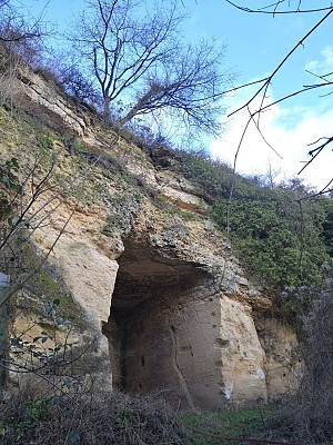 Bois Saint-Michel