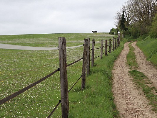 Forêt de Hez