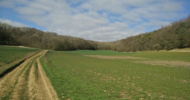 Vallée Noé