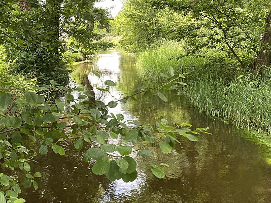Sentier de la Moder