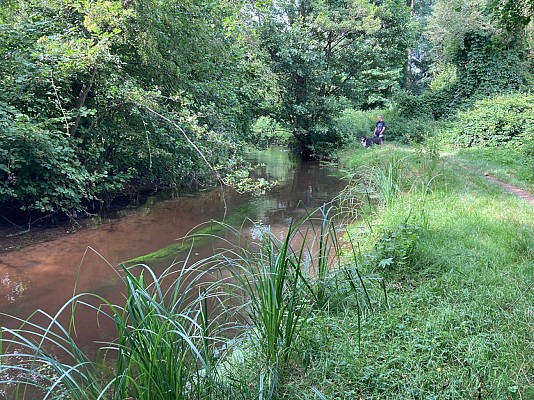Sentier de la Moder