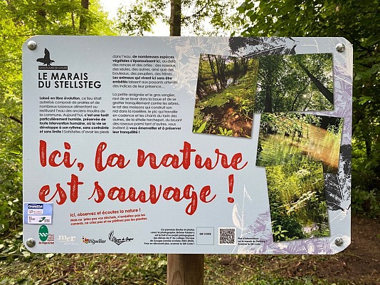 Panneau pédagogique du collège d'Ingwiller