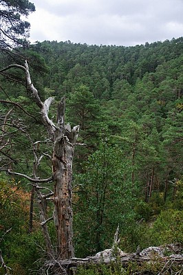 Parc Naturel des Ports