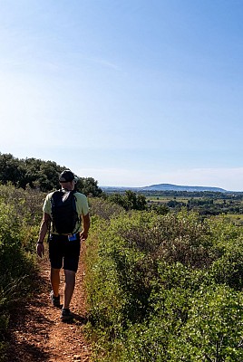 Montbazin - rando collines de la Moure-7 © M. Ricard - OT Thau
