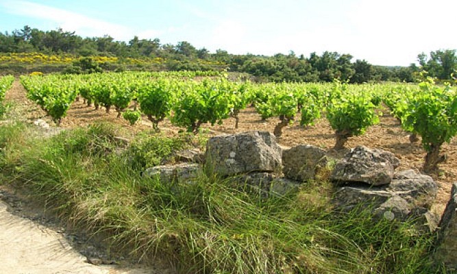 PR52 - LES MOURELS