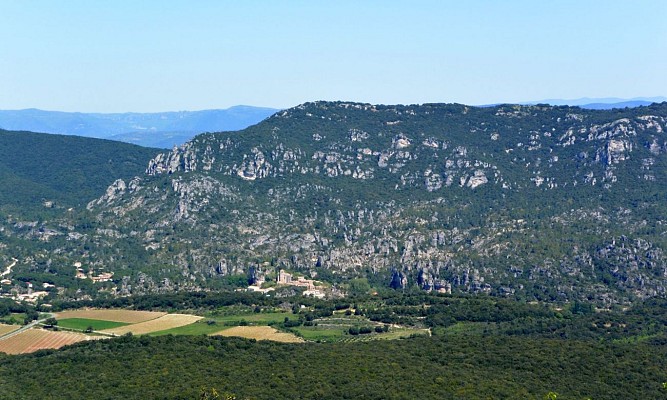 OENORANDO VISSOU 6 @ Gilles Delerue