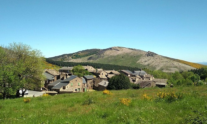 vialais5_GD-ADT34