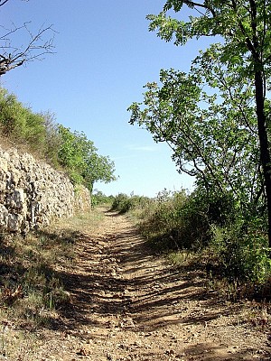 Rando du Puech Belet0001 ©CDRP34