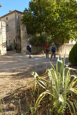 Rando des châteaux du muscat de Lunel0006 ©CDRP34
