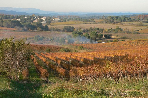 Oenorando des coteaux de St-Christol0031 ©CDRP34