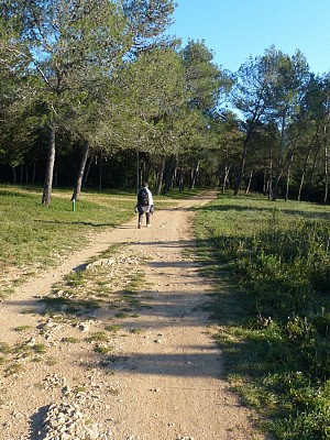 Rando de l'acqueduc de Castrie0019 ©CDRP34