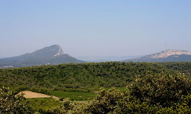 PR - LE SENTIER DES CHARBONNIERES