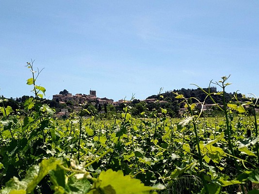 Rando des Fontaines et des Lavoirs0005 ©Gilles Delerue - ADT34