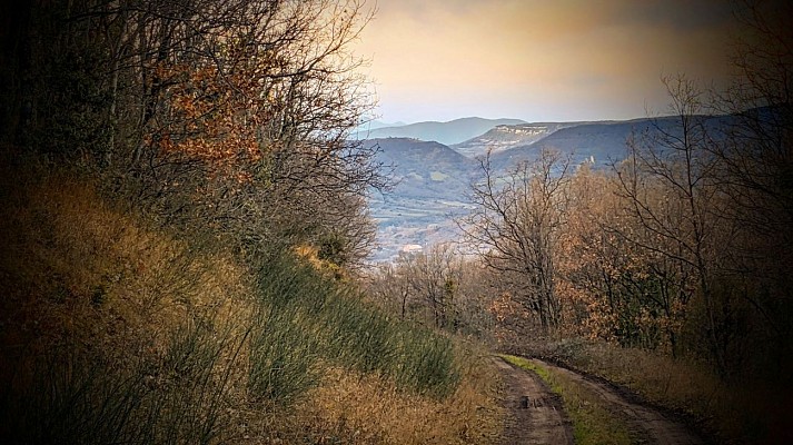 Salasc - sentier des Béals 17 @ Gilles Delerue