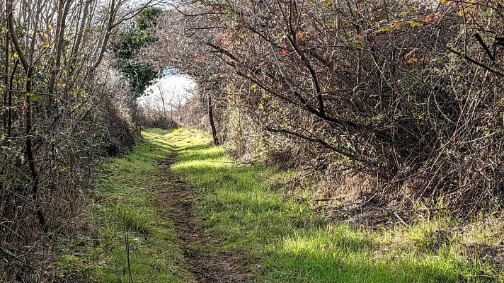 Salasc - sentier des Béals 13 @ Gilles Delerue