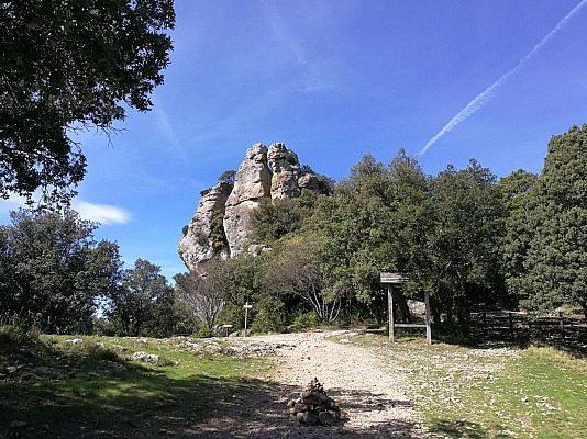 oenorando st saturnin 12 @ Gilles Delerue