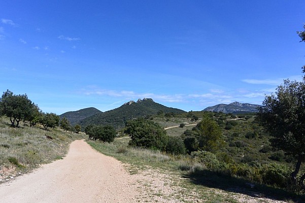 oenorando st saturnin 1 @ Gilles Delerue