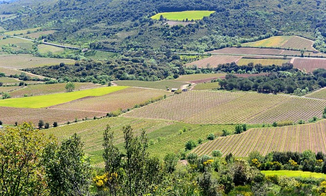 PR VISSOU 5 @ Gilles Delerue