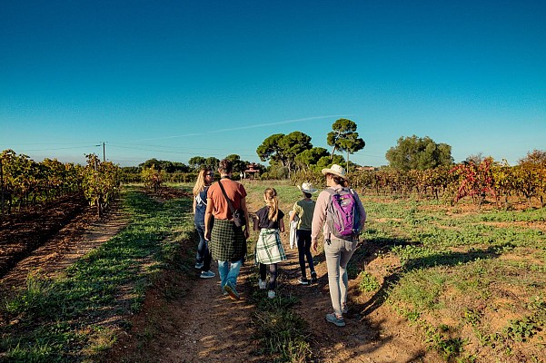 Oeno rando Gourmandise-oct 2022 @Karinegregoire (30) MARCHE