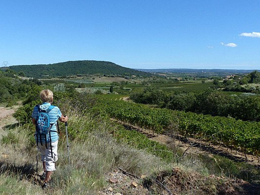 Vignes et volcans de fontes0001 ©CDRP34