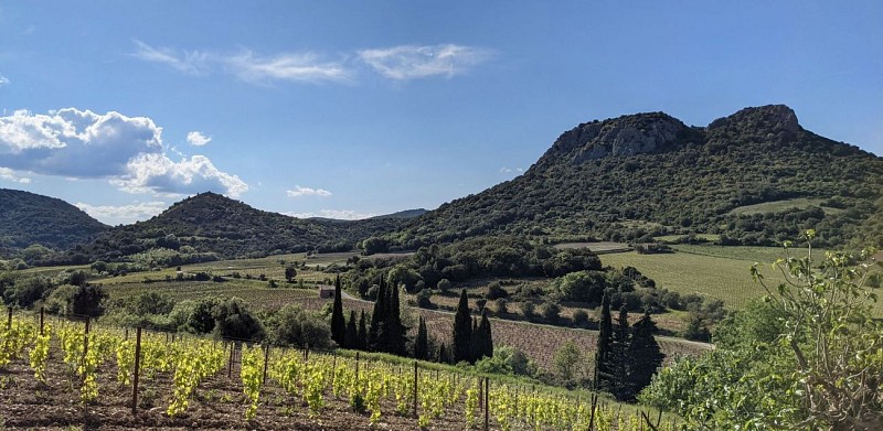 oenorando crozes - balade médiévale 12 @ Gilles Delerue