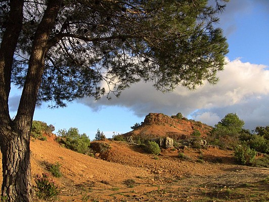 Terroir_d_Art_et_de_Nature_a_Montagnac_-_E_Brendle_4