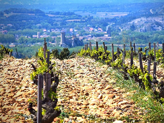 R02 - Châteauneuf du Pape-Patrimoine